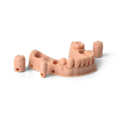 Phrozen 歯科模型用水洗いレジン 1kg | 株式会社マシンツール中央