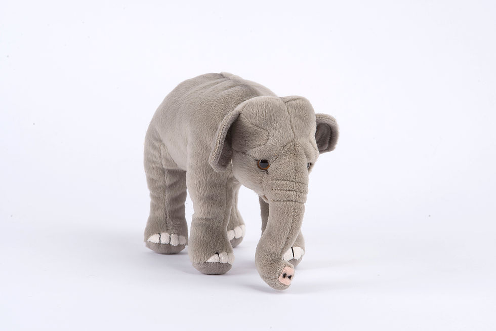 Eléphant