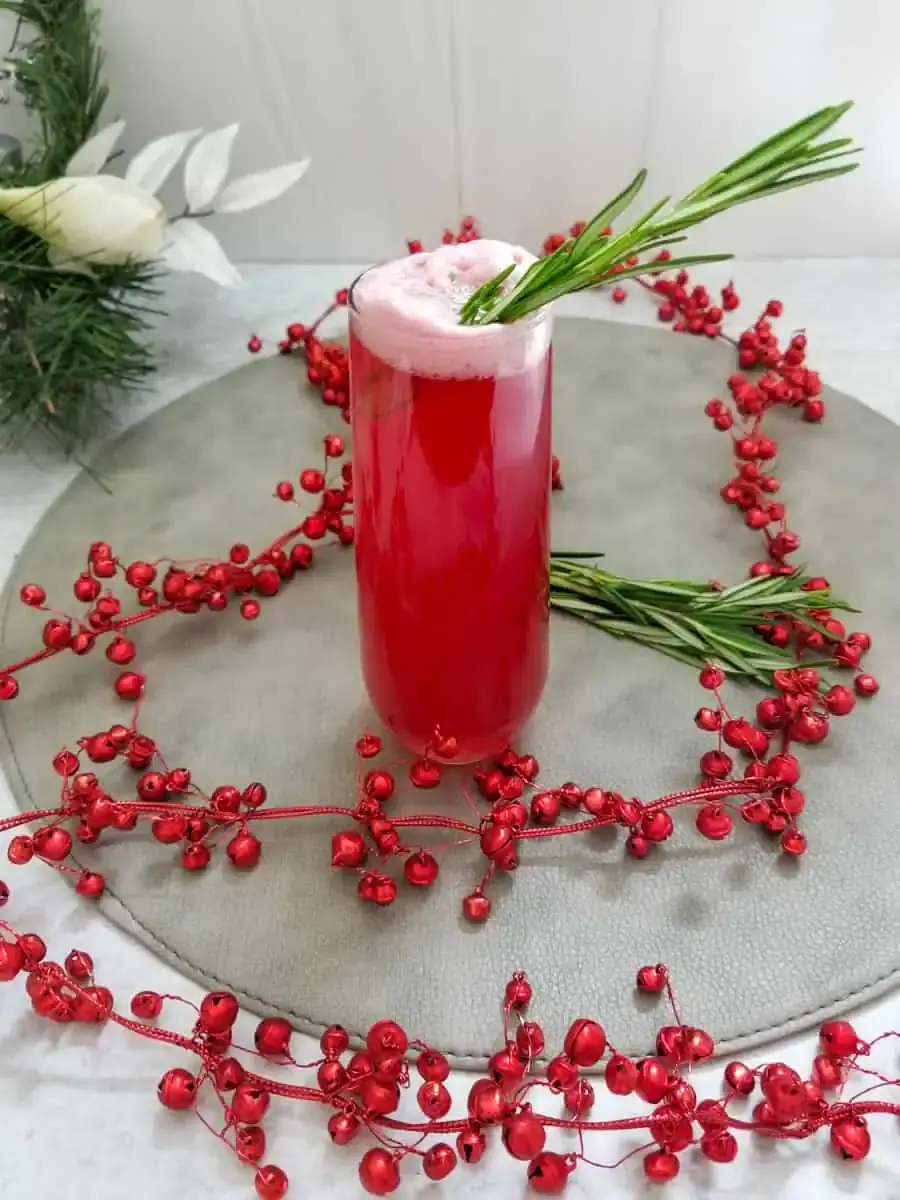Holiday Gin Fizz