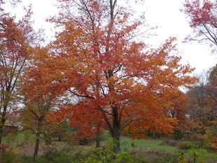 Top 10 Romantic Destinations for Your Connecticut Honeymoon