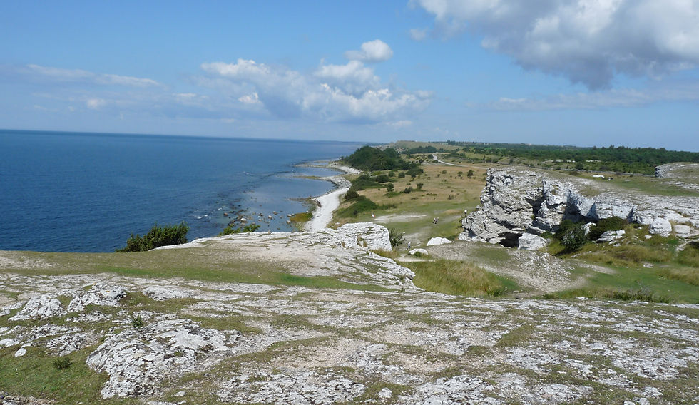 Swedish Coastline