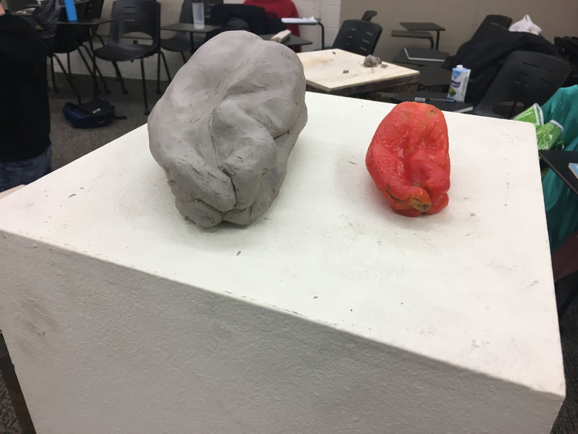 Sculpture Study: Bell Peppers Pt. II