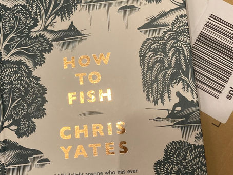 Contemplation (or How to Fish)
