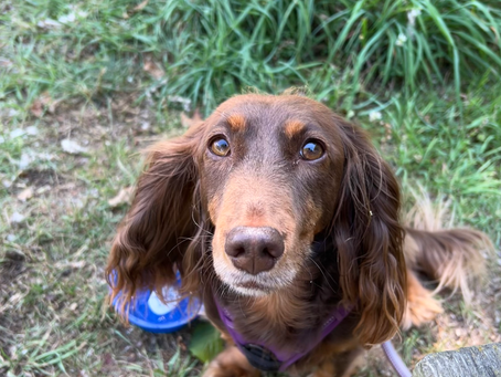 Be more Penny