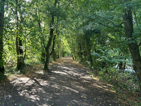 The Path