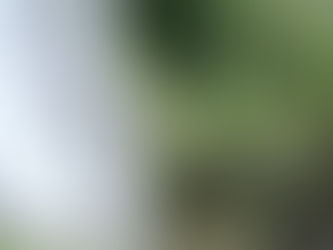 Εξόρμηση στην Έδεσσα για τη Β Λυκείου