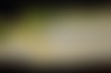 Succès total pour la soirée beaujolais