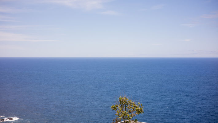 4L8A0310.jpg