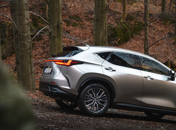 Lexus_NX-22.jpeg