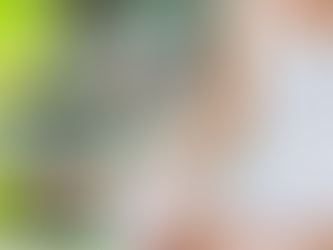 Meditação: a busca pelo equilíbrio e paz interior