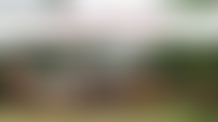 H@G Specials for the Week of 7/8-7/11