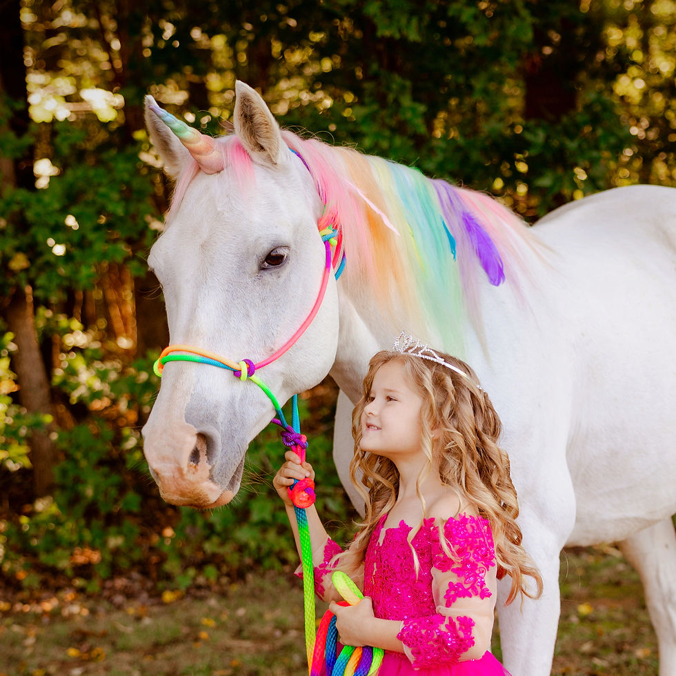 Unicorn Mini Session