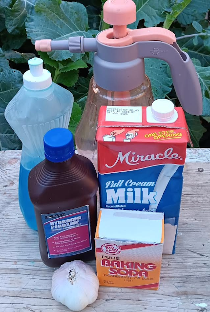 Pest control from kitchen staples