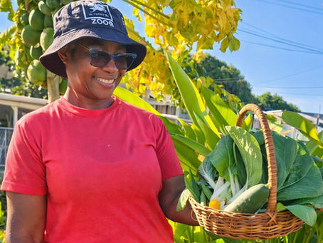Hopey’s Picks: A Little Peek into My Garden Joy
