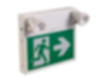 SORTIE URGENCE ET BATTERIE 36W