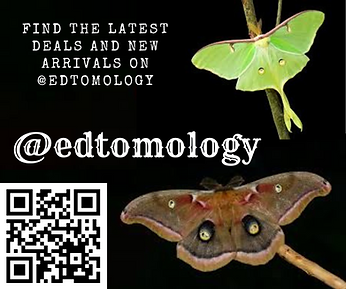 Find the latest Deals and new arrivals on _edtomology.png