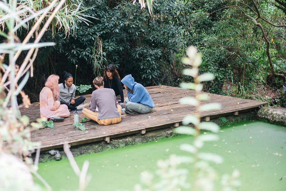 Design Your Permaculture Project Course 