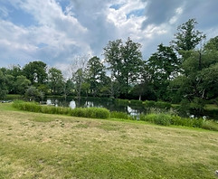pond.jpeg