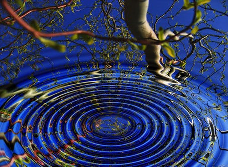 Mindful Mindfulpath Meditation | Stephanie Gilbert | Calabasas