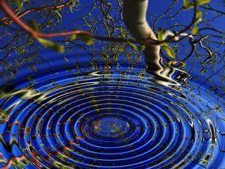 Mindful Mindfulpath Meditation | Stephanie Gilbert | Calabasas