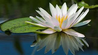 Spirituality is a Practice of Connection