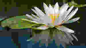 Spirituality is a Practice of Connection