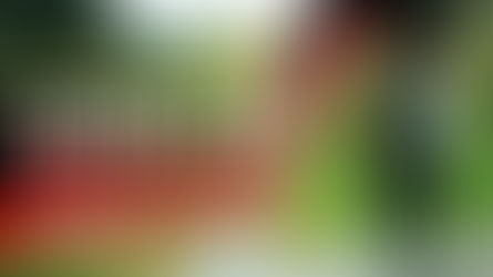 Gagner en endurance : l'endurance critique