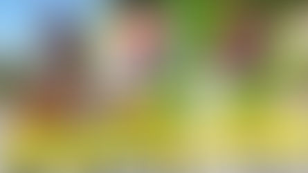 Etape du Tour 2024 : Comment j'ai gagné 30w et + de 150 places en 3 ans