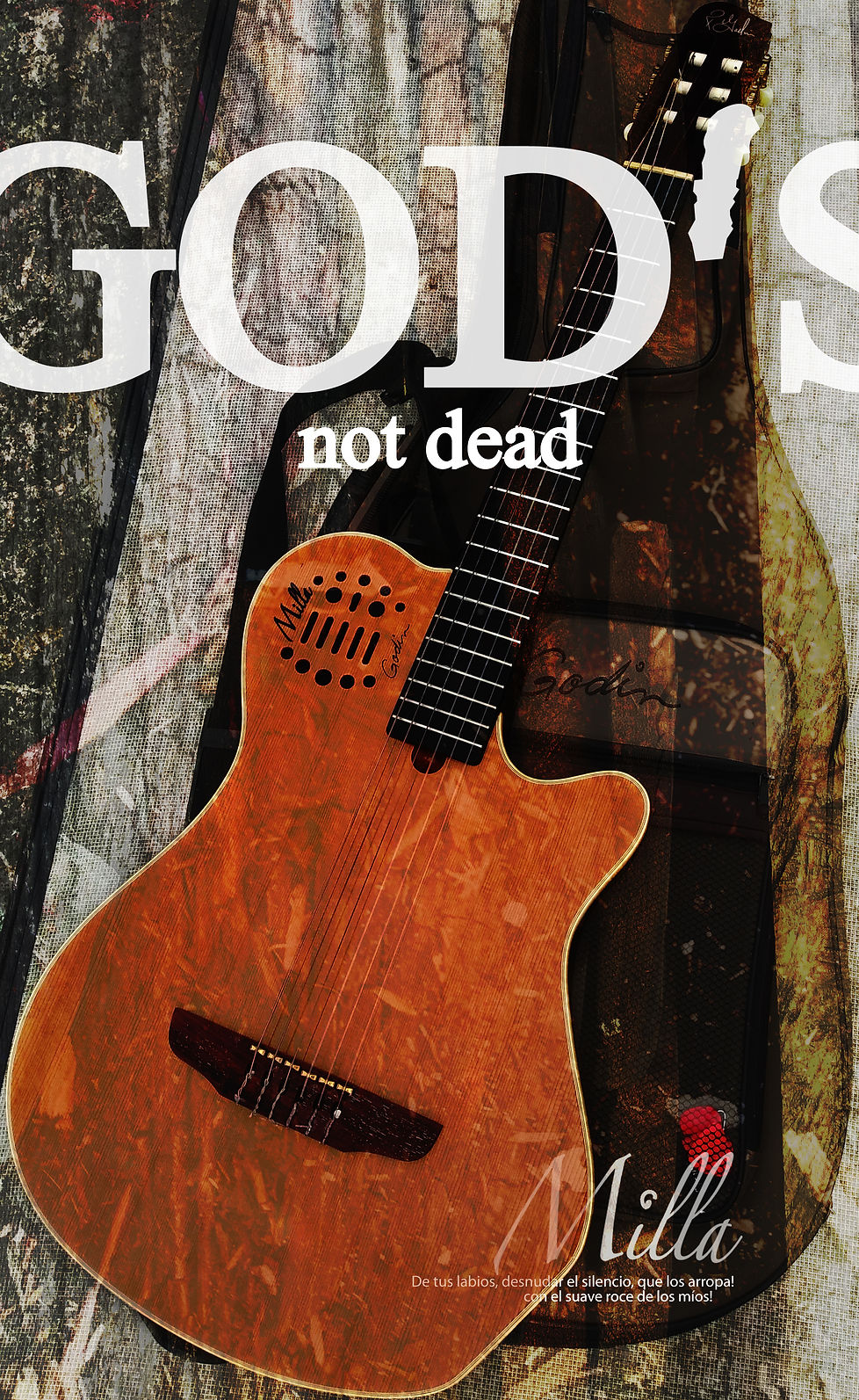 guitarra forro.jpg
