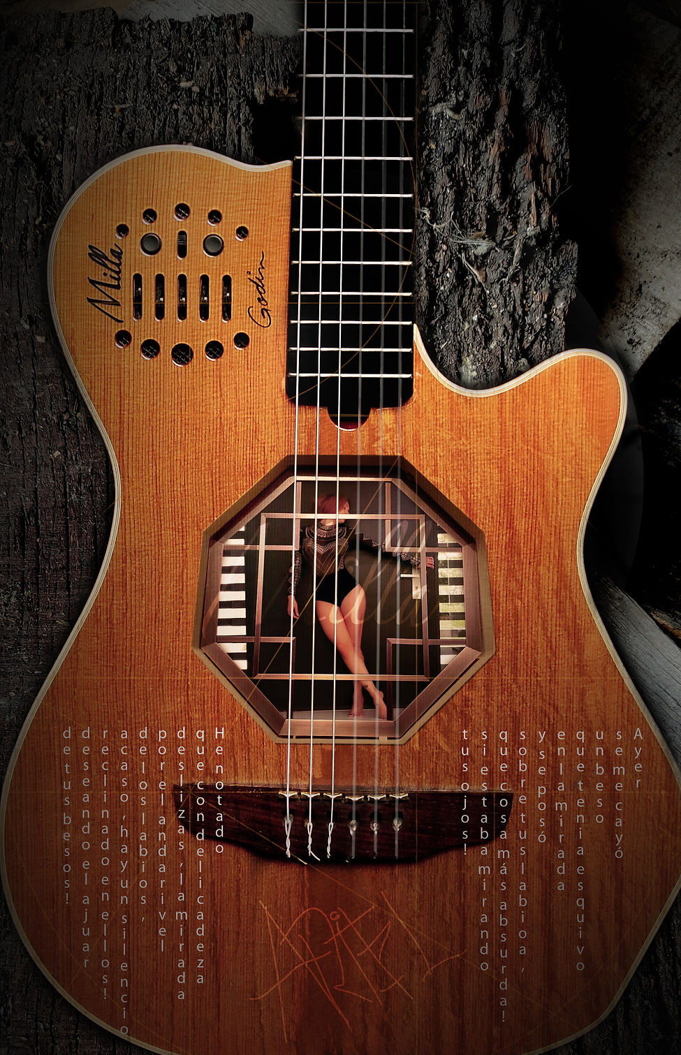 guitarra milla dentro.jpg