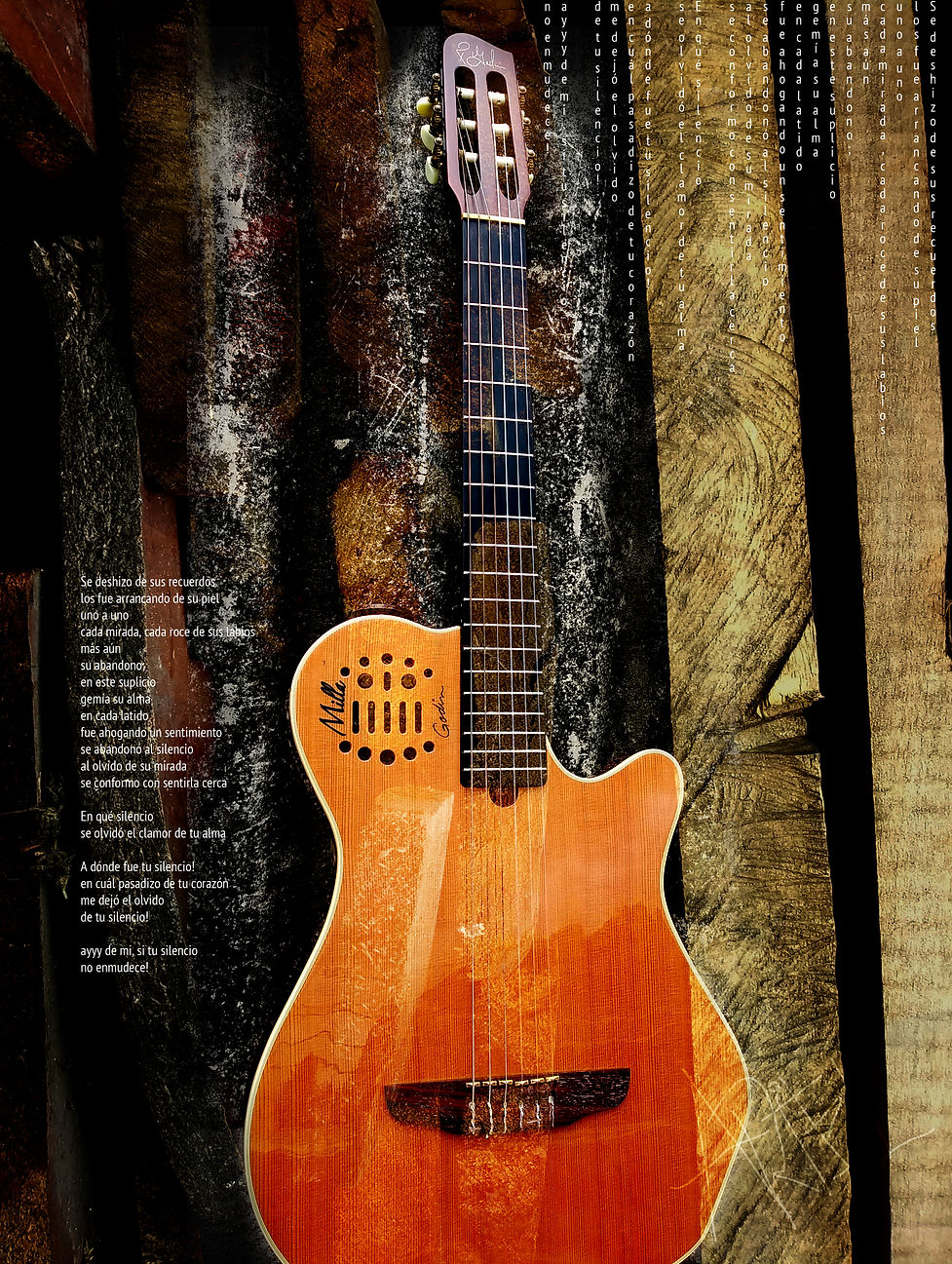 guitarra_lenÌa.jpg