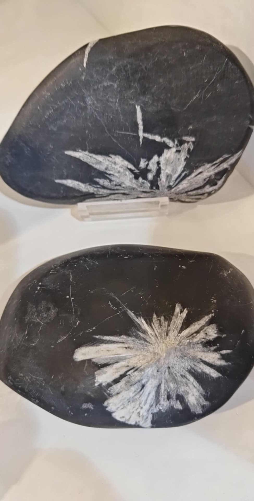 Pierre chrysanthème (Xénotine)