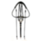 EquiBalance® Training Rein ULTIMA | Lunging Equipment | VIVID HERITAGE
