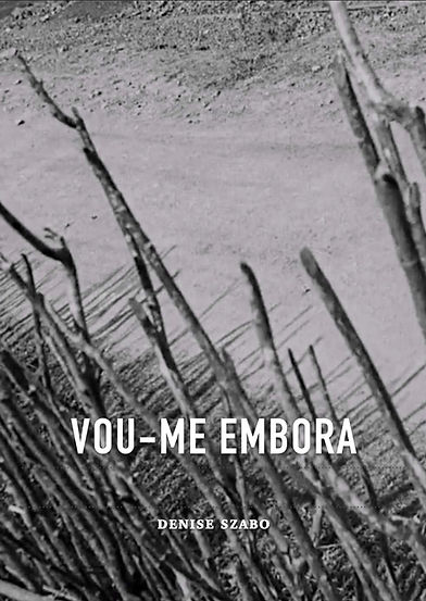 Cartazes Parquinho Jurássico_V1.png