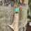 Thumbnail: Elk Antler and Turquoise with Brass Custom Pendant Necklace
