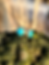 Thumbnail: Kingman Turquoise and Brass Stud Earrings - 9mm round