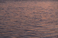 IMG_1829.jpeg