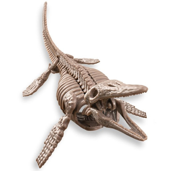 Miniatura: Mosasaurus Dig a Dinosaur Skeleton 4M