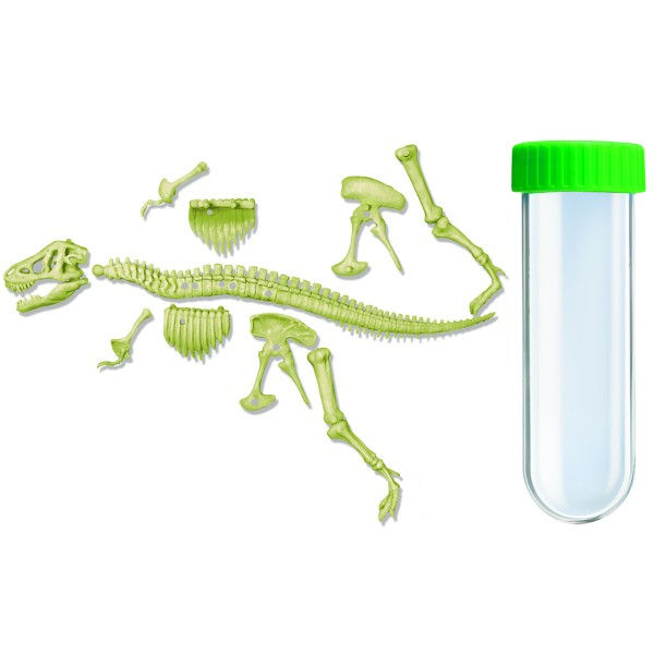 Miniatura: Kidzlabs/Glowing T-Rex Skeleton