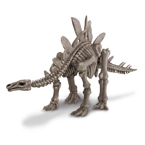Miniatura: Stegosaurus Dig a Dinosaur Skeleton 4M
