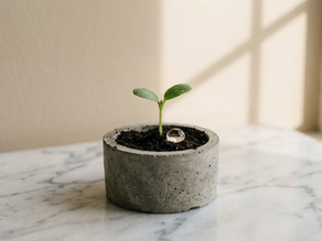 El Arte de la Paciencia: La Verdad Sobre el Crecimiento Capilar (y Cómo Superar la "Alerta Roja")