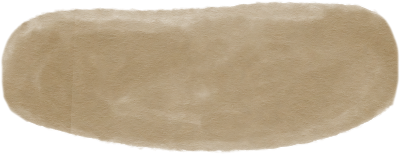 aquarela marrom.png