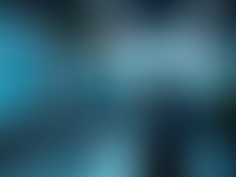 Unlock the Potential of Government Contracting Services