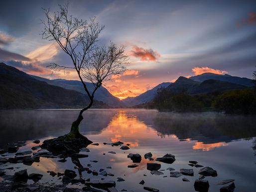 Capturing Timeless Landscapes with Northern Form Photography