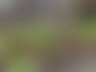В Запорізькій гімназії №19 визначили фотороботи для участі в Обласному етапі конкурсу "Країна моя - Україна"