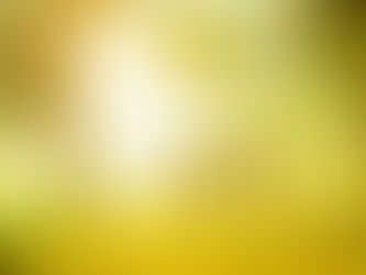 В Запорізькій гімназії №19 стартує фотоконкурс «Я фотографую щастя»