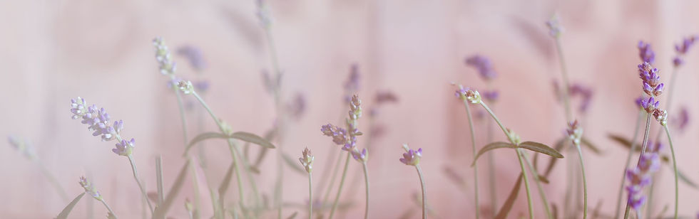AdobeStock_85603385_L.jpeg