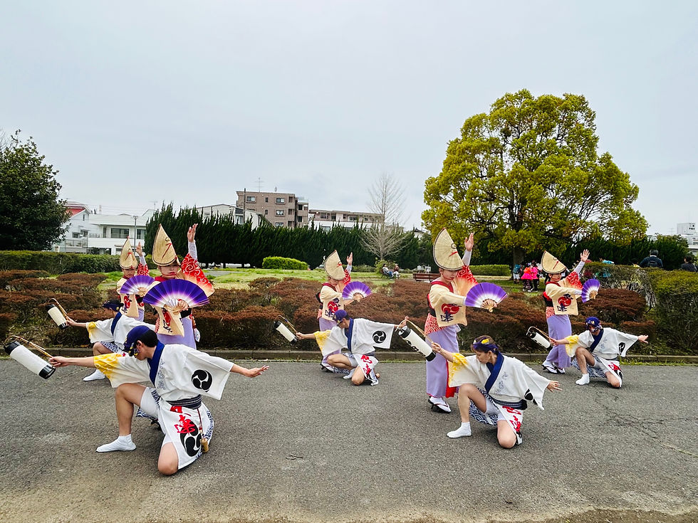 2026.4.5　みさとの桜祭り
