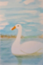 20190612_105159.jpeg