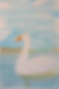 20190612_105159.jpeg